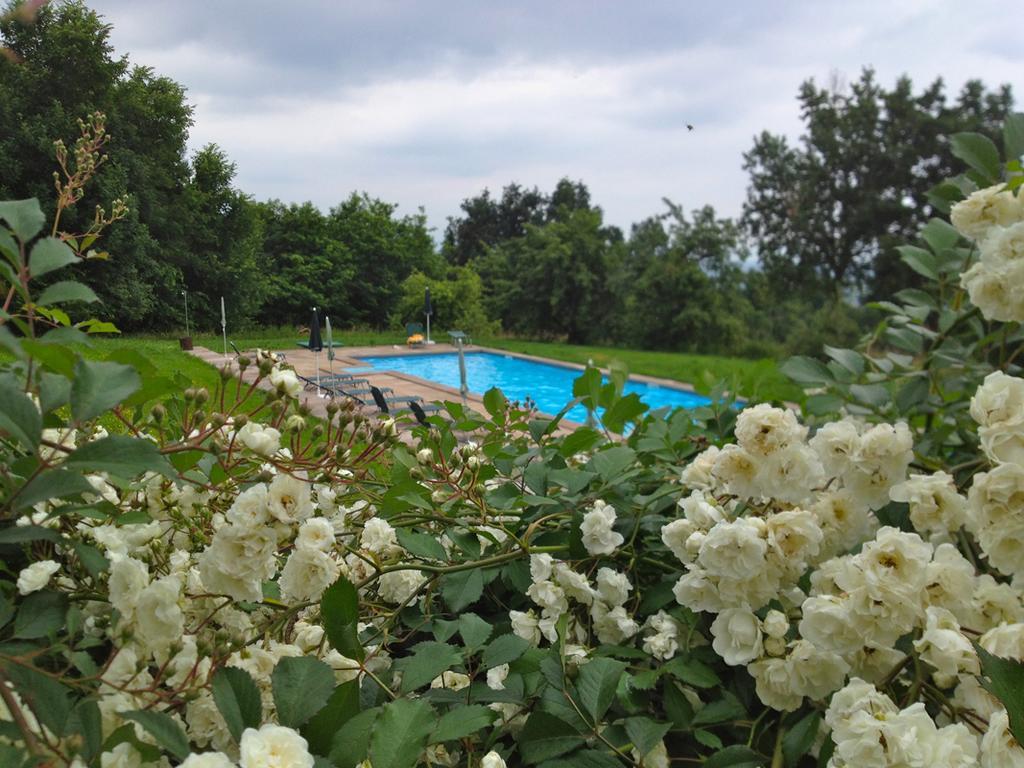 Agriturismo Famiglia Al Castello Di Bagnolo Bagnolo Piemonte Værelse billede